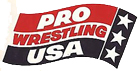 Pro Wrestling USA